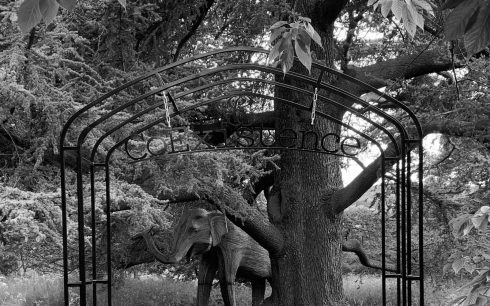 Archway with sign and elephant in background